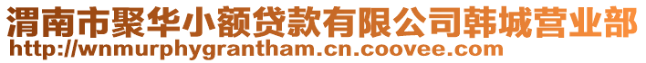 渭南市聚華小額貸款有限公司韓城營業(yè)部