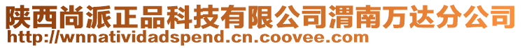 陜西尚派正品科技有限公司渭南萬達分公司