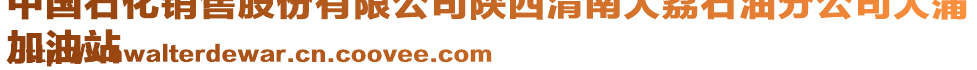 中國(guó)石化銷售股份有限公司陜西渭南大荔石油分公司大蒲
加油站