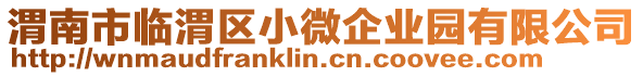 渭南市臨渭區(qū)小微企業(yè)園有限公司