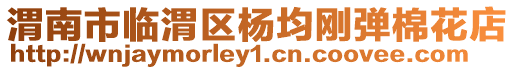 渭南市臨渭區楊均剛彈棉花店