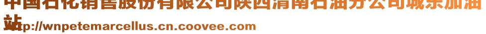 中國石化銷售股份有限公司陜西渭南石油分公司城東加油
站