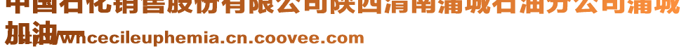 中國石化銷售股份有限公司陜西渭南蒲城石油分公司蒲城
加油一