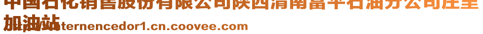 中國石化銷售股份有限公司陜西渭南富平石油分公司莊里
加油站