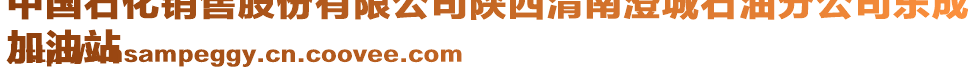 中國(guó)石化銷售股份有限公司陜西渭南澄城石油分公司東成
加油站