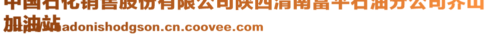 中國(guó)石化銷售股份有限公司陜西渭南富平石油分公司喬山
加油站