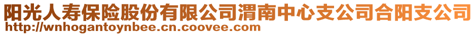 陽光人壽保險股份有限公司渭南中心支公司合陽支公司