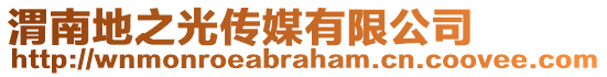 渭南地之光傳媒有限公司