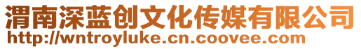 渭南深藍(lán)創(chuàng)文化傳媒有限公司