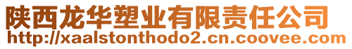 陜西龍華塑業(yè)有限責(zé)任公司