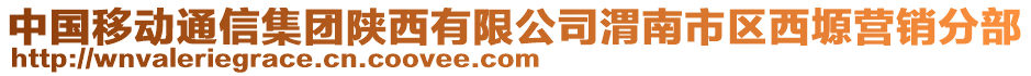 中國(guó)移動(dòng)通信集團(tuán)陜西有限公司渭南市區(qū)西塬營(yíng)銷(xiāo)分部