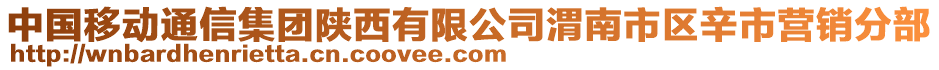 中國移動通信集團陜西有限公司渭南市區(qū)辛市營銷分部