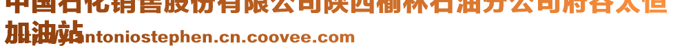 中國石化銷售股份有限公司陜西榆林石油分公司府谷太恒
加油站