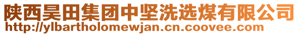 陜西昊田集團(tuán)中堅(jiān)洗選煤有限公司