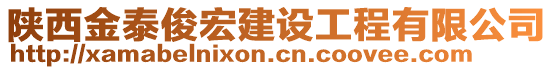 陜西金泰俊宏建設(shè)工程有限公司