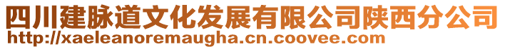 四川建脈道文化發(fā)展有限公司陜西分公司