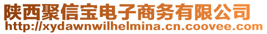 陜西聚信寶電子商務(wù)有限公司