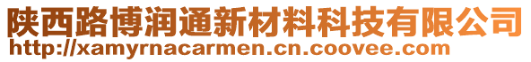 陜西路博潤(rùn)通新材料科技有限公司