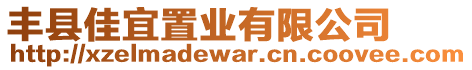 豐縣佳宜置業(yè)有限公司