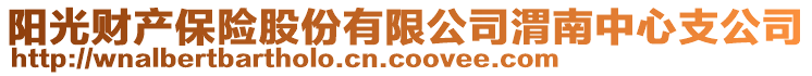 陽光財產保險股份有限公司渭南中心支公司