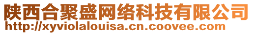 陕西合聚盛网络科技有限公司