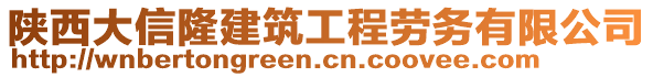 陜西大信隆建筑工程勞務(wù)有限公司