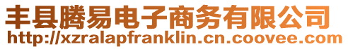 豐縣騰易電子商務有限公司