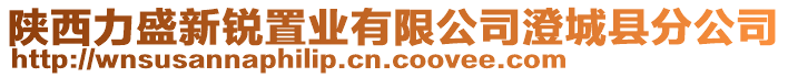 陜西力盛新銳置業(yè)有限公司澄城縣分公司