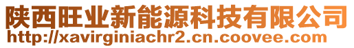 陜西旺業(yè)新能源科技有限公司