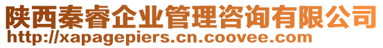 陜西秦睿企業(yè)管理咨詢有限公司