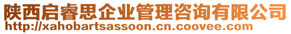 陜西啟睿思企業(yè)管理咨詢有限公司