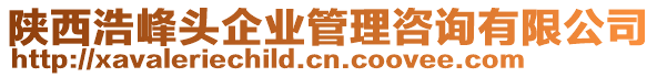 陜西浩峰頭企業(yè)管理咨詢有限公司