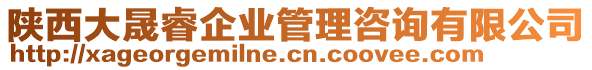 陜西大晟睿企業(yè)管理咨詢有限公司