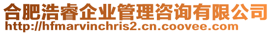 合肥浩睿企業(yè)管理咨詢有限公司