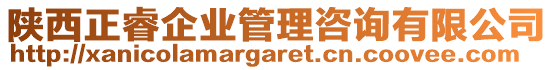 陜西正睿企業(yè)管理咨詢有限公司