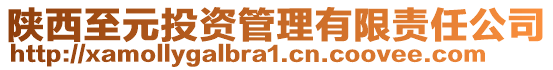 陜西至元投資管理有限責(zé)任公司