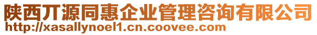 陜西丌源同惠企業(yè)管理咨詢有限公司