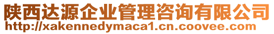 陜西達(dá)源企業(yè)管理咨詢有限公司