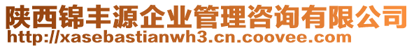 陜西錦豐源企業(yè)管理咨詢有限公司