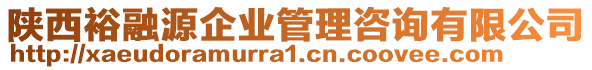 陜西裕融源企業(yè)管理咨詢有限公司