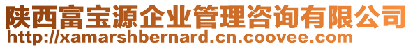 陜西富寶源企業(yè)管理咨詢有限公司