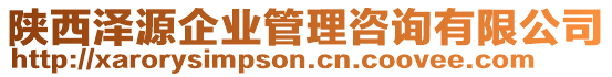 陜西澤源企業(yè)管理咨詢有限公司