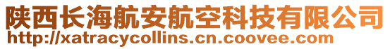 陜西長(zhǎng)海航安航空科技有限公司