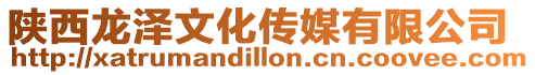 陜西龍澤文化傳媒有限公司
