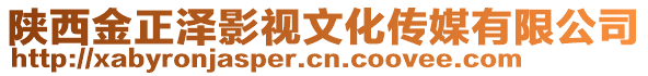 陜西金正澤影視文化傳媒有限公司