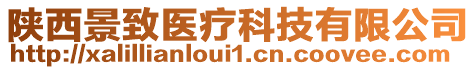 陜西景致醫(yī)療科技有限公司