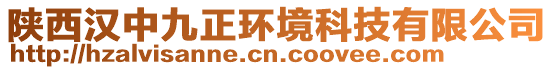 陜西漢中九正環(huán)境科技有限公司