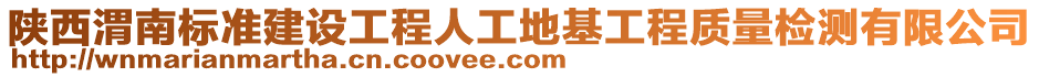 陜西渭南標(biāo)準(zhǔn)建設(shè)工程人工地基工程質(zhì)量檢測有限公司