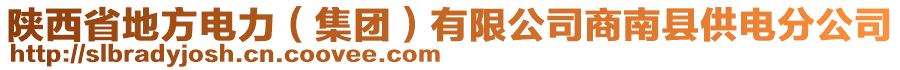 陕西省地方电力（集团）有限公司商南县供电分公司