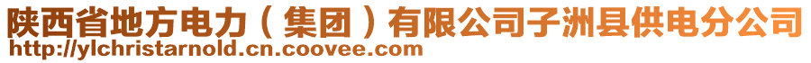 陕西省地方电力（集团）有限公司子洲县供电分公司